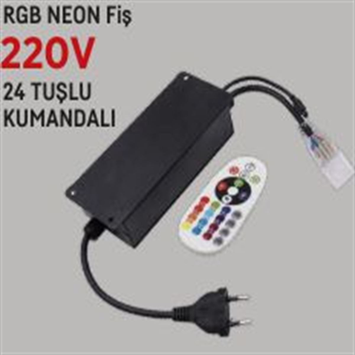 220V NEON FİŞİ RGB 1